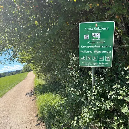 アパート Wallersee Retreat ノイマルクト・アム・ヴァラーゼー