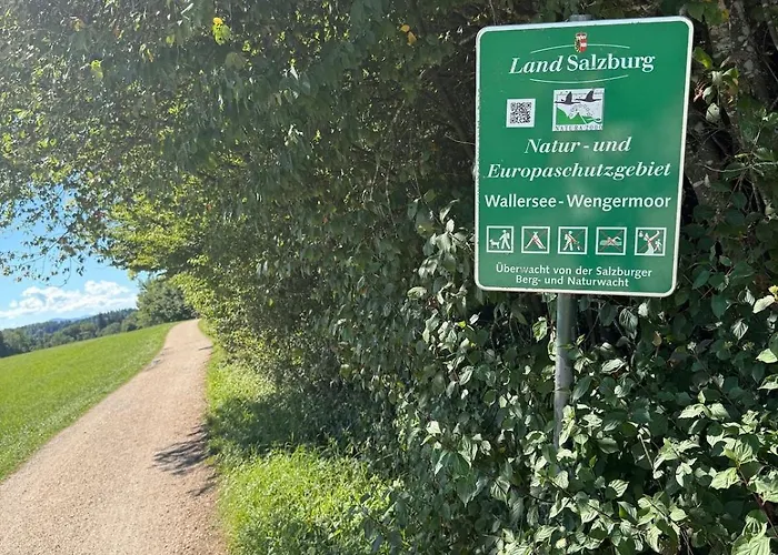 Daire Wallersee Retreat Neumarkt am Wallersee